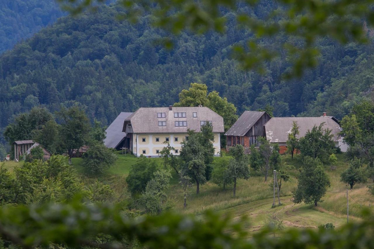 Apartment Krnicar Zgornje Gorje Exterior foto